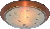Потолочный светильник Arte Lamp  TIANA A4043PL-2CC